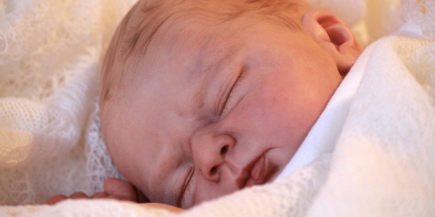 Prince George life-like doll. Photo / www.celebritydollhouse.com