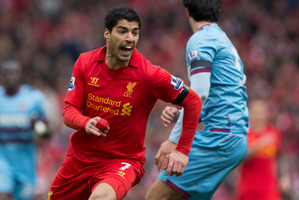 Liverpool's Luis Suarez. Photo / AP