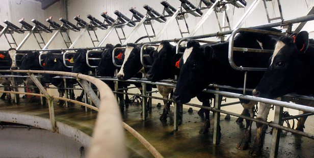 Fonterra is coming in for a huge amount of criticism from everywhere. Photo / NZH