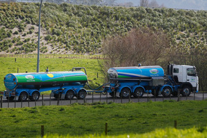 Why were Fonterra's customers given no warning in March? Photo / Christine Cornege