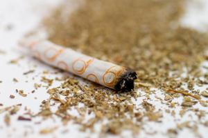 If you are a parent, know this: Your children will take drugs to get high. Photo / Sarah Ivey