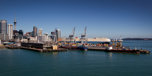 Heart of the City chief executive Alex Swney said Auckland could be one of the great harbour edge cities of the world.