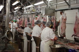 Food snafus are jeopardising New Zealand jobs. Photo / Supplied