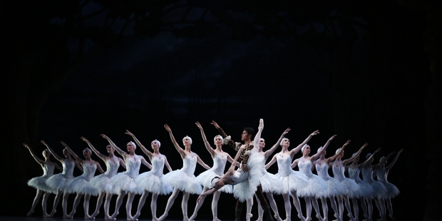 The Royal New Zealand Ballet in Swan Lake. Photo / Evan Li