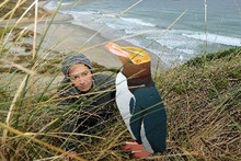 Hiding in the grass are penguins made to last. Photo / ODT 