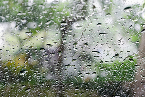 Photo / Thinkstock