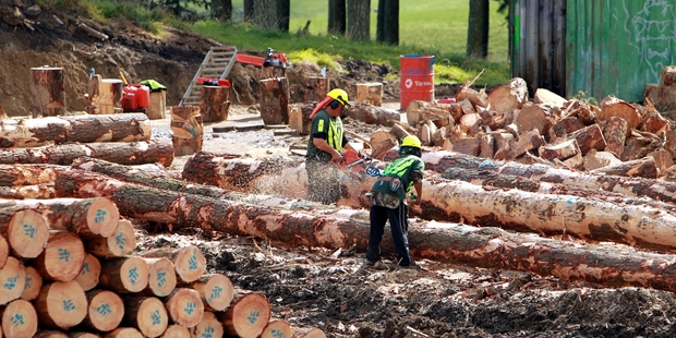 NXT Fuels' process draws algae from waste streams, such as forestry waste, converting them into biofuel. Photo / APN