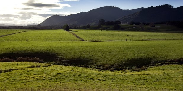 Globalisation has begun in earnest and the accessibility the grass of world markets has grown. Photo / David White
