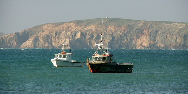 Our proposed environmental footprint is minuscule relative to the fishing industry's. Photo / Janna Dixon