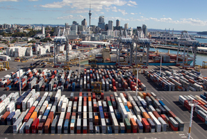 The Ports of Auckland expansion plans have been shelved until their wider effect is assessed. Photo / Brett Phibbs