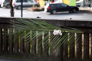 Tributes for Ashlee Edwards on the bridge above Waiarohia stream on Tarewa Rd. Photo / APN