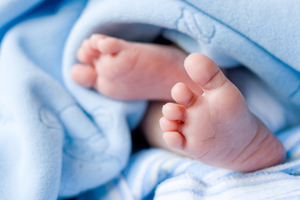 Photo / Thinkstock