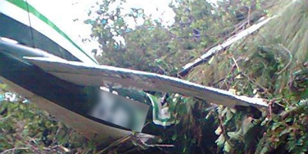 The plane crashed into mountains in a rugged area of South Africa.