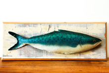 Latex fish designed by John Verryt. Photo / Babiche Martens