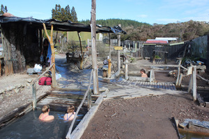 Waiariki Pools, also known as Ngawha Hot Springs, Northland. Photo / Estelle Sarney