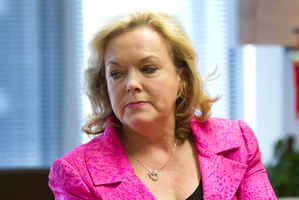 Judith Collins. Photo / Mark Mitchell