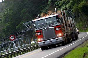 Truckies face a braking ban. Photo / File