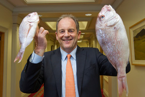 Labour Party leader David Shearer with two snapper. Photo / Mark Mitchell