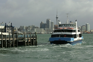 Many ferry users will be worse off under the new system. Photo / Brett Phibbs