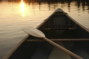 Photo / Thinkstock