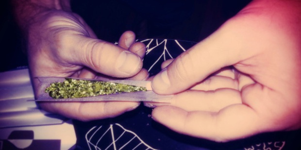 Marijuana is the most popular illegal drug used worldwide.
Photo / Thinkstock
