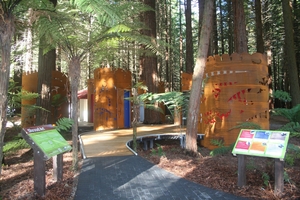 The Redwoods