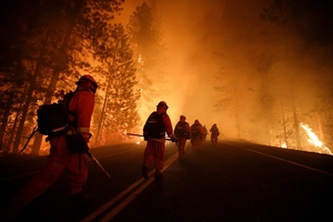 More than 4500 firefighters are battling the Rim Fire near Yosemite National Park, which has consumed 77,800 ha in California. Photo / AP