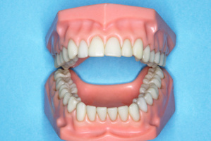 Photo / Thinkstock