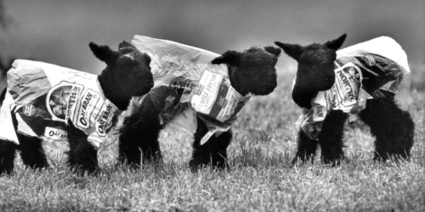 Photo: John Sefton. Picture Research: Emma Land.