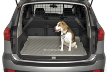 Dog in a Subaru Photo / Supplied