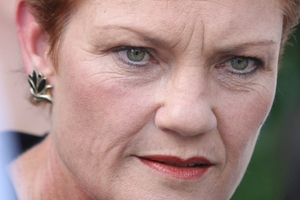 Some political analysts believe Pauline Hanson could have a chance of winning a Senate seat in New South Wales.