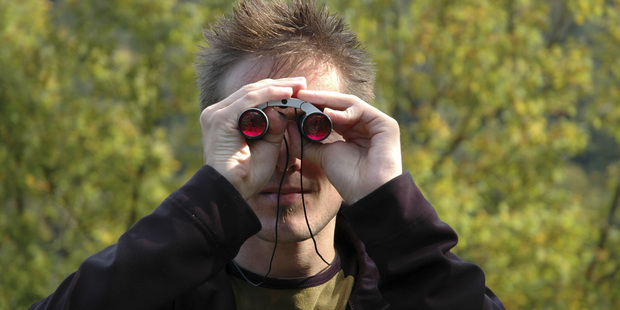 So where are all New Zealand's authorised financial advisors? Photo / Thinkstock
