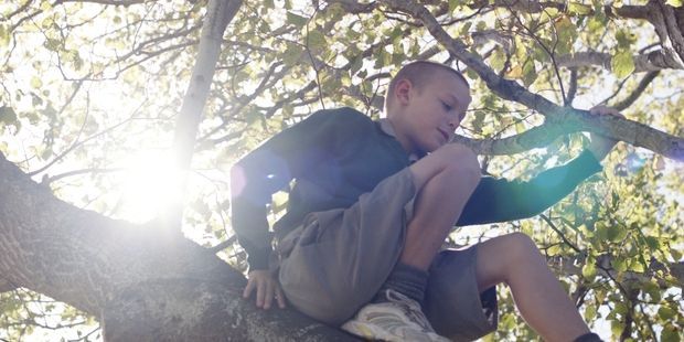 Demos Murphy plays alienated youngster Adrian in The Weight of Elephants.