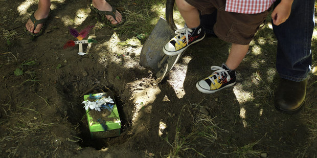 Photo / Thinkstock