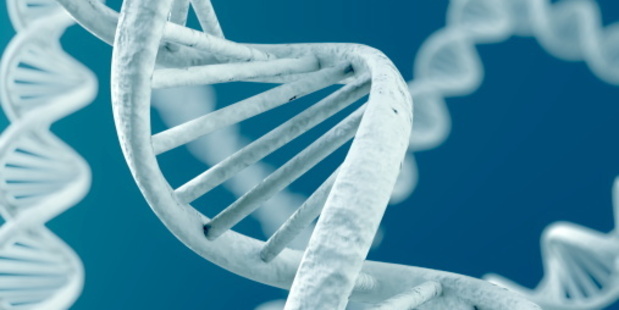 The finding, made after DNA samples were taken from each of the three species and examined over a year in the United States. Photo / Thinkstock