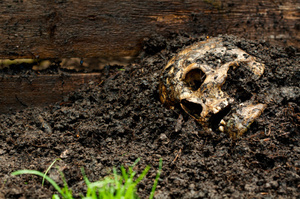 Photo / Thinkstock