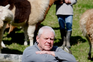UPSET: Brian and Christine Angliss are distressed over dogs killing and injuring alpacas and other animals on their Ngunguru lifestyle block. PHOTO/MICHAEL CUNNINGHAM