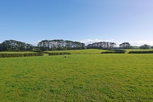 Council wants to provide 55,000 new houses south of Auckland.