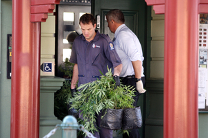 DISCOVERY: A police officer takes cannabis plants from the Beijing restaurant in central Wanganui. Photo / Bevan Conley