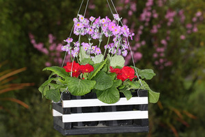 Hanging baskets can brighten up bare-looking areas outside your home. Photo / Getty Images