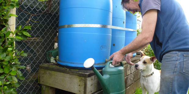 Make sure you install the tanks at a practical height and that they're childproof. Photo / Meg Liptrot