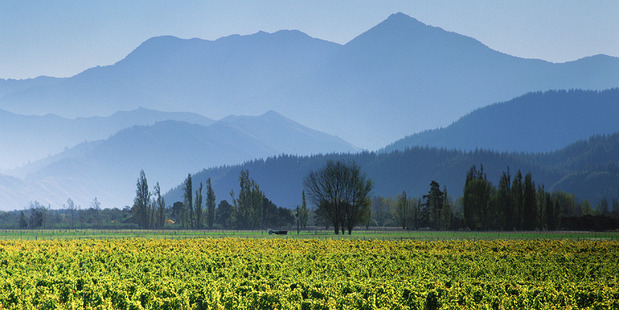 Cloudy Bay winery is opposing plans by Moa Beer to expand its Marlborough brewery.
