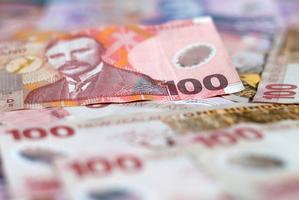 Under tax law 'property investor' is a collective term for speculators, dealers and investors, and each is treated very differently. Photo / Thinkstock