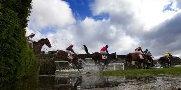 One of the great sights of spring racing: the Great Northern Steeplechase field splash their way through the water jump at Ellerslie on Saturday. Photo / Brett Phibbs