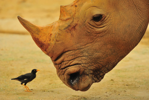 Photo / Thinkstock