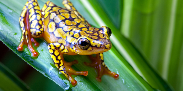 Photo / Thinkstock