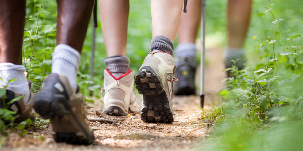 None of the group's injuries were life threatening. Photo / File / Thinkstock