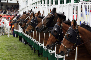 Rowena Smyth started out riding as an apprentice in the northern area. Photo / Thinkstock