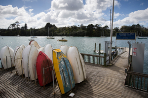 Herald Island is just one part of the vast Albany Ward, much of it edged by water. Photo / Greg Bowker