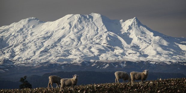 Mount Ruapehu. Photo / Greg Bowker